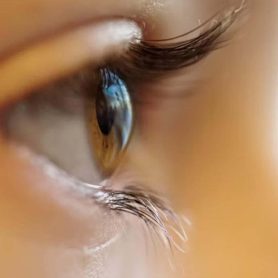 Contactlenzen